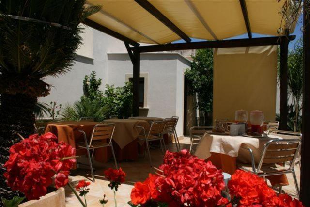 Hotel Amaryllis